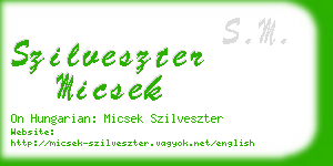 szilveszter micsek business card